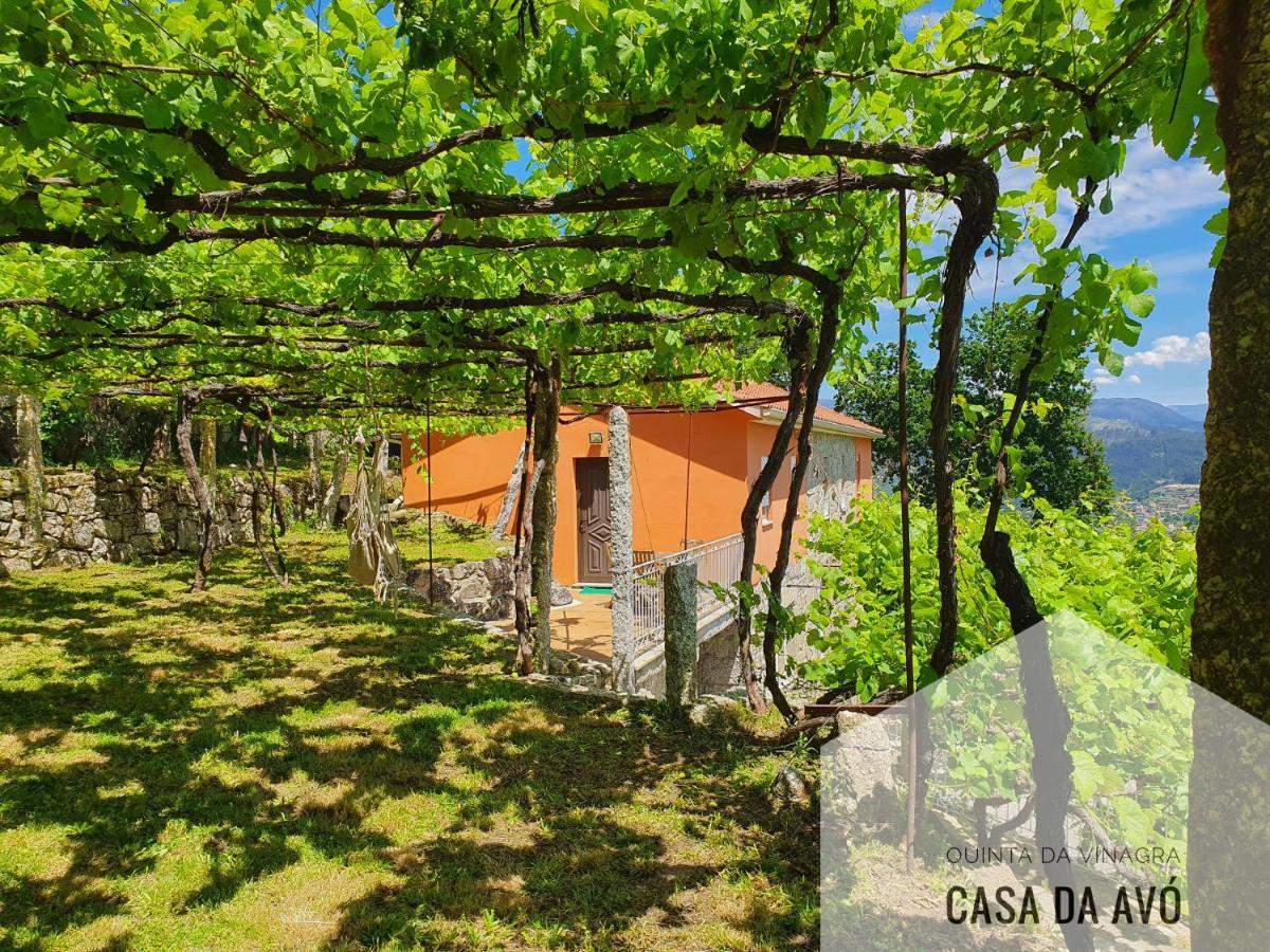 Tourim Quinta Da Vinagra 빌라 외부 사진