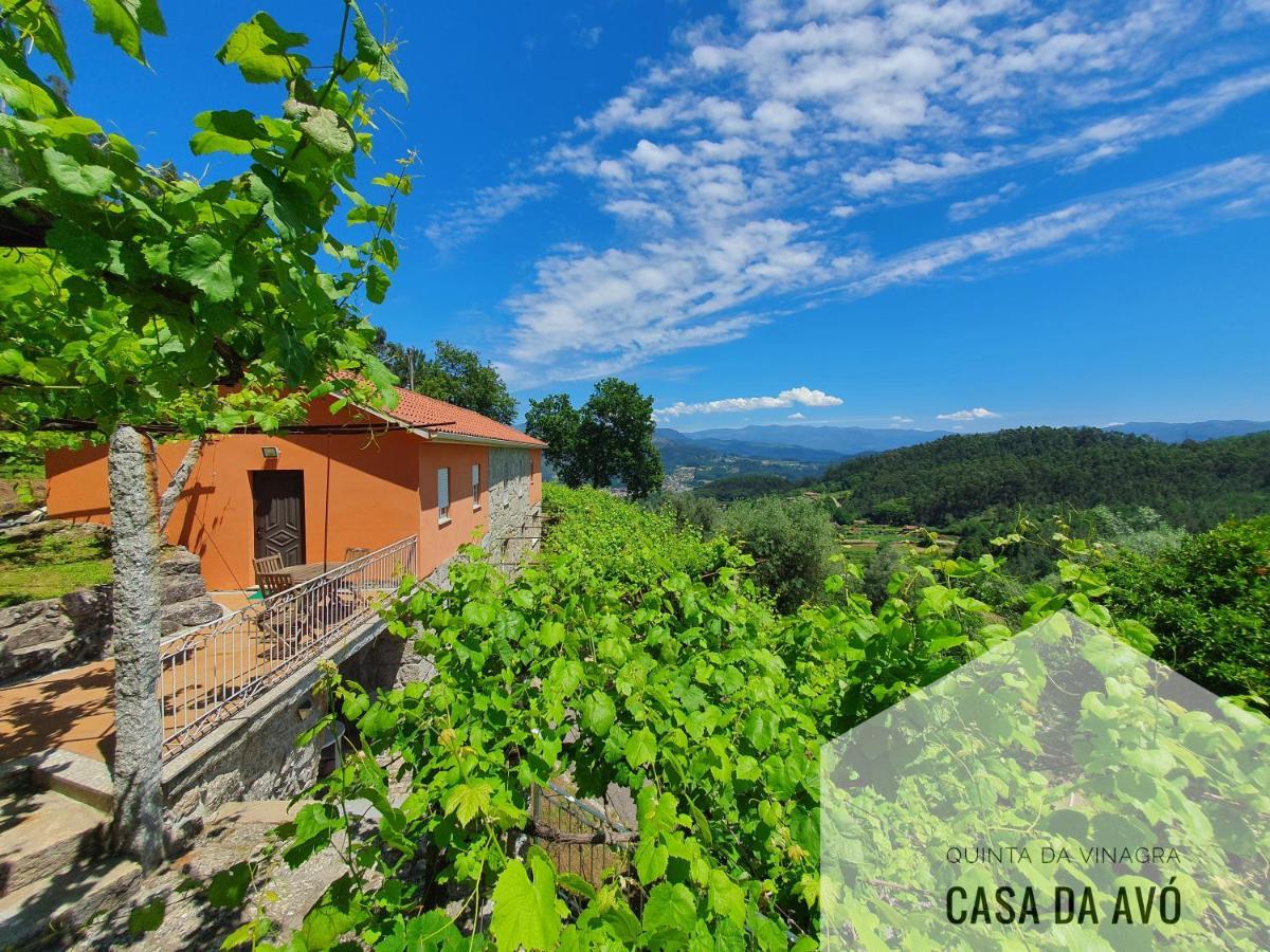 Tourim Quinta Da Vinagra 빌라 외부 사진