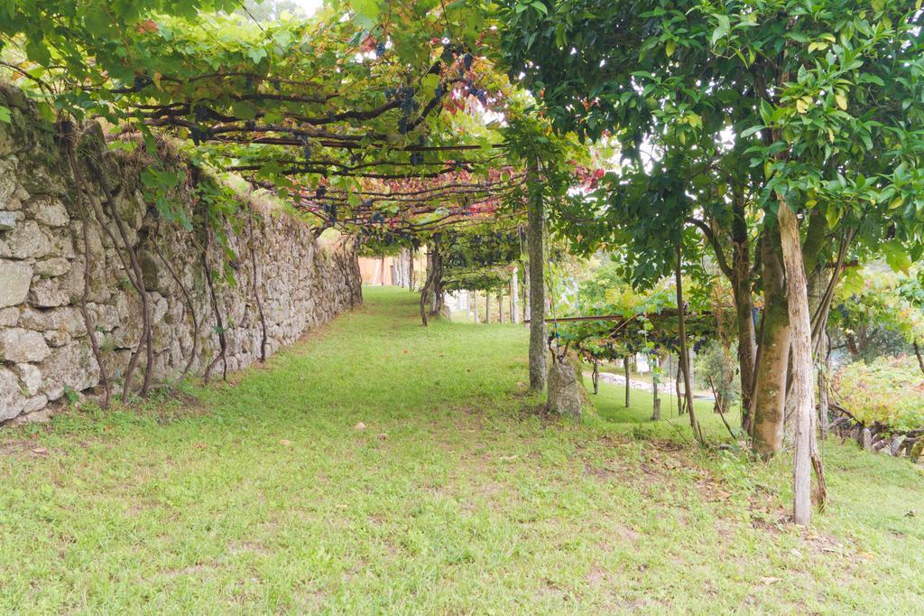 Tourim Quinta Da Vinagra 빌라 외부 사진